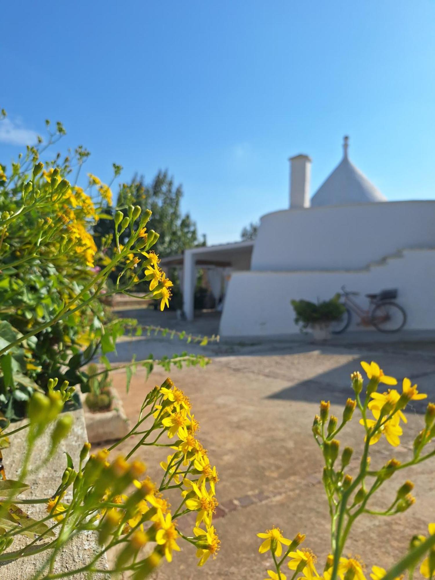 Trullo Antico Casa rural *