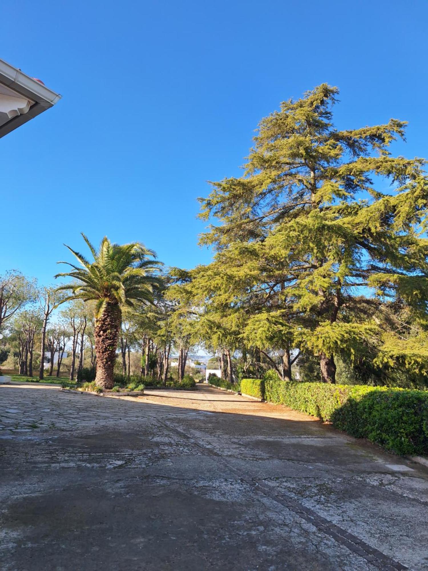 Trullo Antico Casa rural *