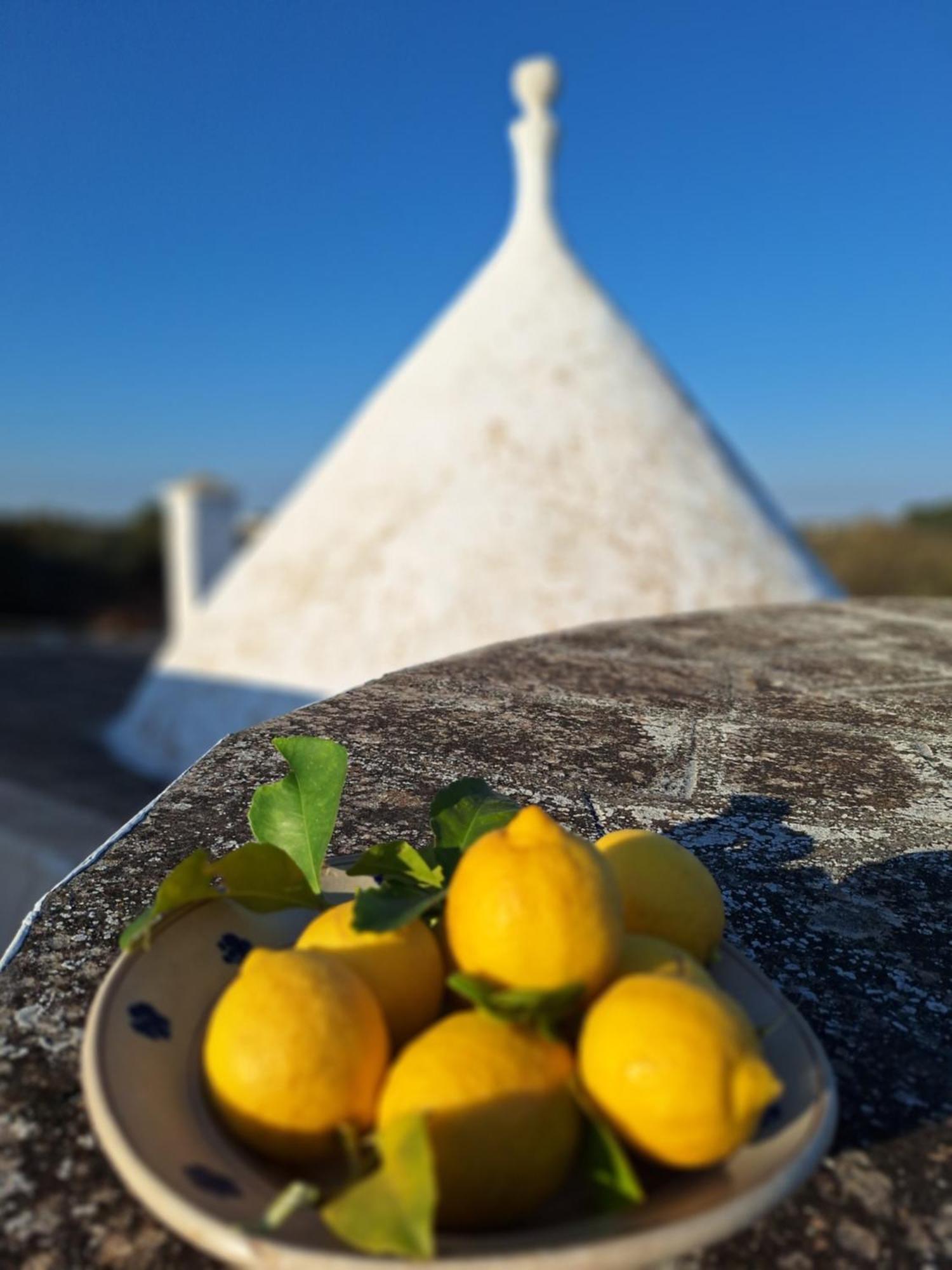 Trullo Antico Casa rural Ostuni